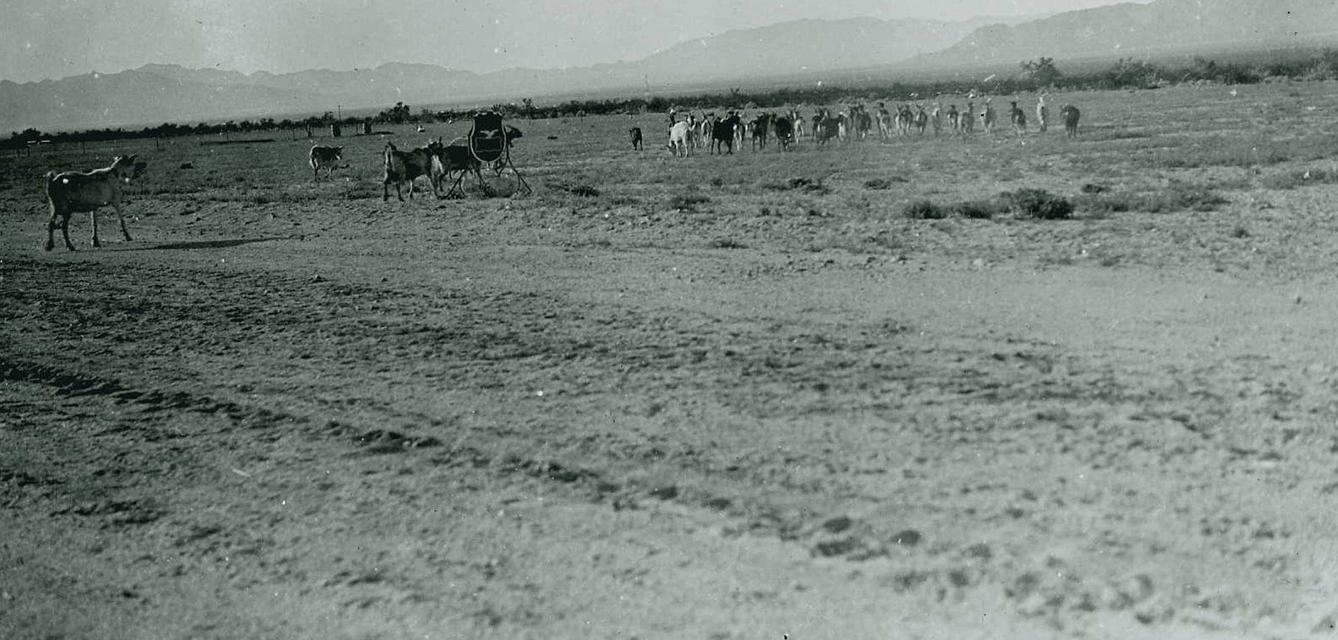 1928 Boulder Canyon