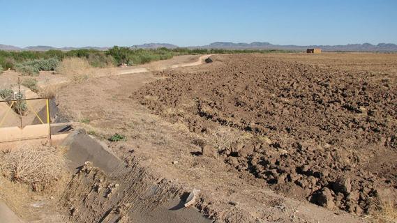 Palo Verde Irrigation District